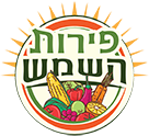 סלט ירקות קלויים באווירת שוק